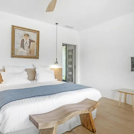 Luxurious In With Pool * Antibes